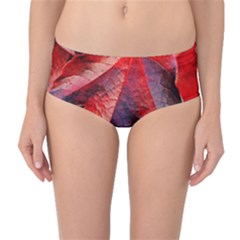 Wine Partner Wild Vine Leaves Plant Mid-waist Bikini Bottoms by Sapixe