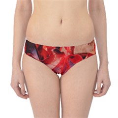 Wine Partner Wild Vine Leaves Plant Hipster Bikini Bottoms by Sapixe