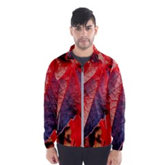 Wine Partner Wild Vine Leaves Plant Windbreaker (men) by Sapixe