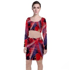 Wine Partner Wild Vine Leaves Plant Long Sleeve Crop Top & Bodycon Skirt Set by Sapixe