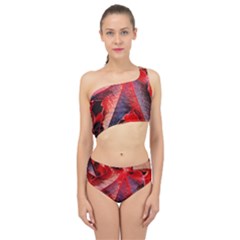 Wine Partner Wild Vine Leaves Plant Spliced Up Two Piece Swimsuit by Sapixe