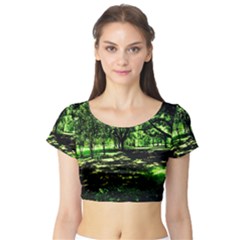 Hot Day In Dallas 26 Short Sleeve Crop Top by bestdesignintheworld