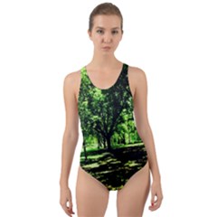 Hot Day In Dallas 26 Cut-out Back One Piece Swimsuit by bestdesignintheworld