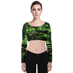 Hot Day In Dallas 26 Velvet Crop Top by bestdesignintheworld