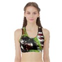 Collosium   Swards And Helmets 3 Sports Bra with Border View1