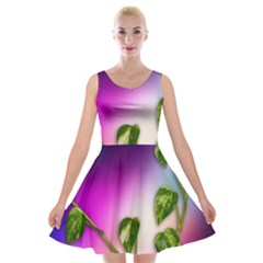 Leaves Green Leaves Background Velvet Skater Dress by Sapixe