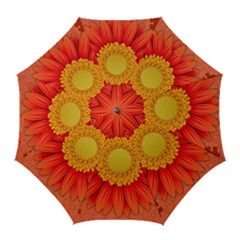 Flower Plant Petal Summer Color Golf Umbrellas by Sapixe