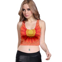 Flower Plant Petal Summer Color Racer Back Crop Top by Sapixe