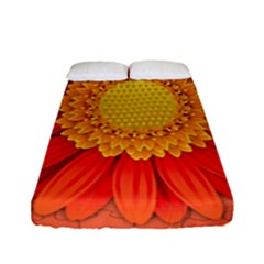 Flower Plant Petal Summer Color Fitted Sheet (full/ Double Size) by Sapixe