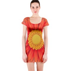 Flower Plant Petal Summer Color Short Sleeve Bodycon Dress by Sapixe