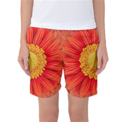 Flower Plant Petal Summer Color Women s Basketball Shorts by Sapixe