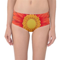 Flower Plant Petal Summer Color Mid-waist Bikini Bottoms by Sapixe