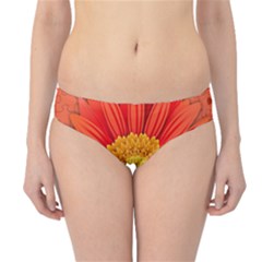 Flower Plant Petal Summer Color Hipster Bikini Bottoms by Sapixe