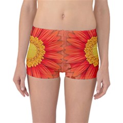 Flower Plant Petal Summer Color Reversible Boyleg Bikini Bottoms