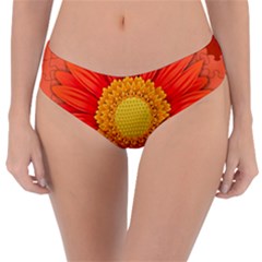 Flower Plant Petal Summer Color Reversible Classic Bikini Bottoms by Sapixe