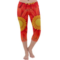 Flower Plant Petal Summer Color Capri Yoga Leggings by Sapixe