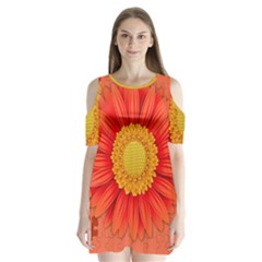 Flower Plant Petal Summer Color Shoulder Cutout Velvet One Piece by Sapixe