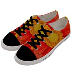 Flower Plant Petal Summer Color Men s Low Top Canvas Sneakers by Sapixe