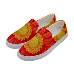 Flower Plant Petal Summer Color Women s Canvas Slip Ons by Sapixe