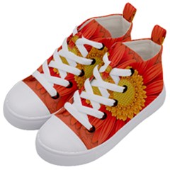 Flower Plant Petal Summer Color Kid s Mid-top Canvas Sneakers by Sapixe