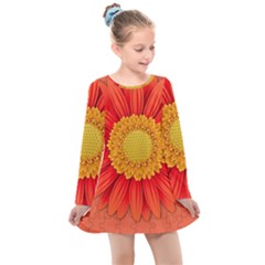 Flower Plant Petal Summer Color Kids  Long Sleeve Dress