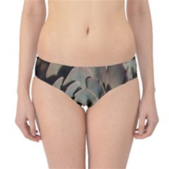 Succulent Green Pink Rosettes Hipster Bikini Bottoms by Sapixe