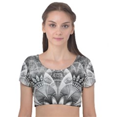 Black And White Fanned Feathers In Halftone Dots Velvet Short Sleeve Crop Top  by jayaprime