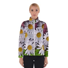 Flowers Flower Background Design Winterwear by Sapixe