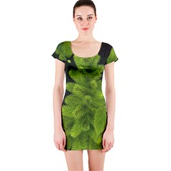 Decoration Green Black Background Short Sleeve Bodycon Dress by Sapixe