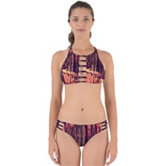 Forest Autumn Trees Trail Road Perfectly Cut Out Bikini Set by Sapixe