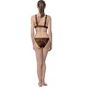 Copper Caramel Swirls Abstract Art Classic Banded Bikini Set  View2