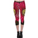 Fantasy Flower Fractal Blossom Capri Leggings  View1