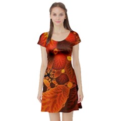 Leaf Autumn Nature Background Short Sleeve Skater Dress by Sapixe