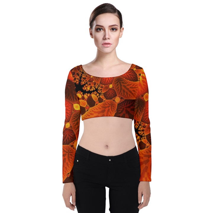 Leaf Autumn Nature Background Velvet Crop Top