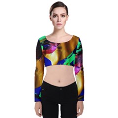 Global Warming 9 Velvet Crop Top by bestdesignintheworld