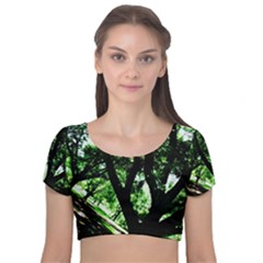 Hot Day In Dallas 28 Velvet Short Sleeve Crop Top 