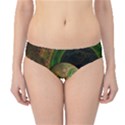 TikTok s Four-Dimensional Steampunk Time Contraption Hipster Bikini Bottoms View1