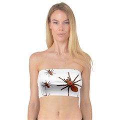 Nature Insect Natural Wildlife Bandeau Top by Sapixe