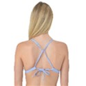 Alice Blue Mini Footpath in English Country Garden  Reversible Tri Bikini Top View2