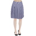 USA Flag Blue and White Stripes Pleated Skirt View1