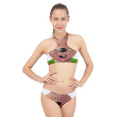 Mole Animal Cartoon Vector Art High Neck Bikini Set