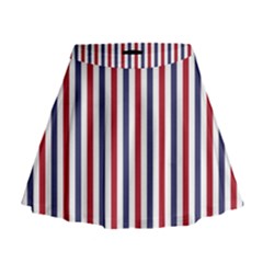 Usa Flag Red White And Flag Blue Wide Stripes Mini Flare Skirt by PodArtist