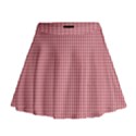 72244985 Mini Flare Skirt View1