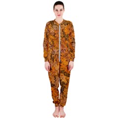 Leaves Motif Pattern Photo 2 Onepiece Jumpsuit (ladies)  by dflcprints