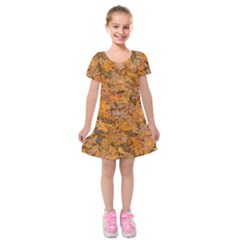 Leaves Motif Pattern Photo 2 Kids  Short Sleeve Velvet Dress by dflcprints