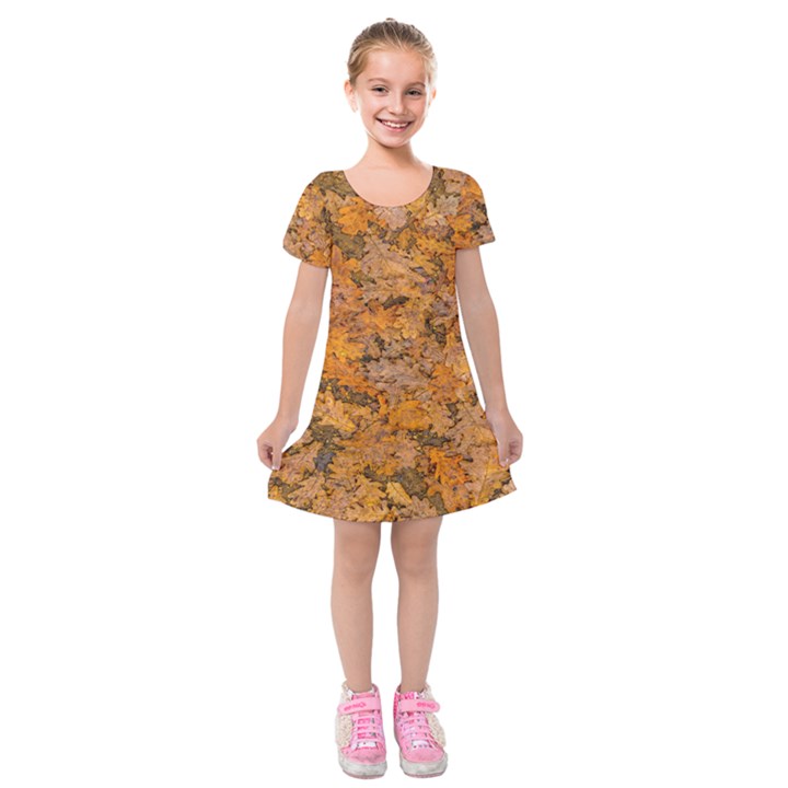 Leaves Motif Pattern Photo 2 Kids  Short Sleeve Velvet Dress