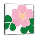 Rose Flower Briar Pink Flowers Mini Canvas 8  x 8  View1