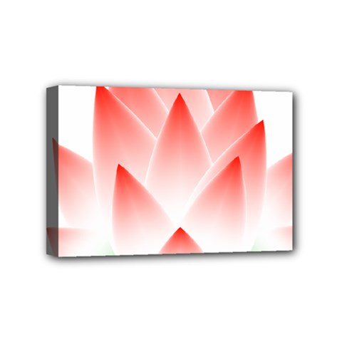 Lotus Flower Blossom Abstract Mini Canvas 6  X 4  by Sapixe