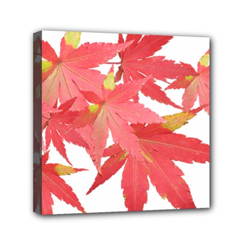 Leaves Maple Branch Autumn Fall Mini Canvas 6  X 6  by Sapixe