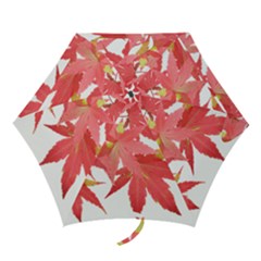 Leaves Maple Branch Autumn Fall Mini Folding Umbrellas by Sapixe